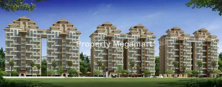 Alcon Silverleaf in mundhwa