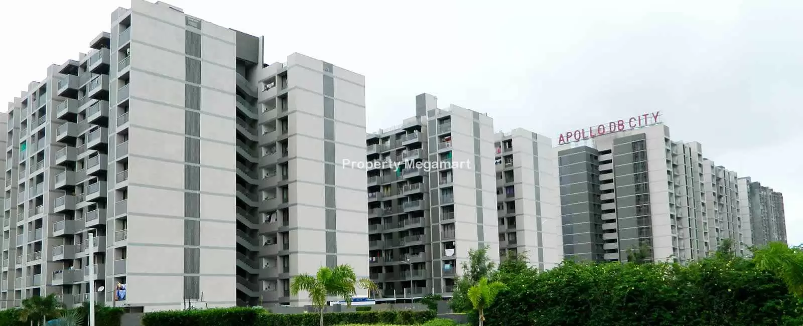 Apollo DB City in NIPANIA