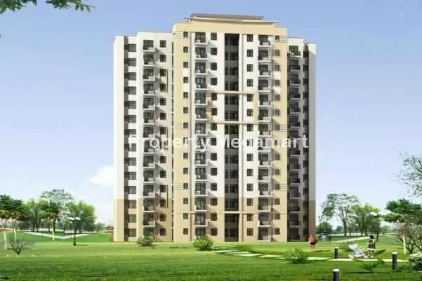 Shree Vardhman Olive in SOHNA