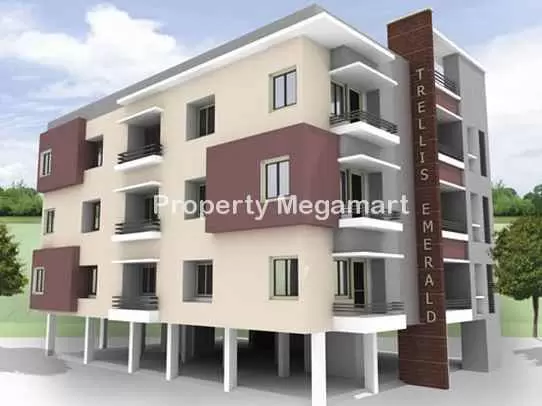 Trellis Emerald in NEW BAPUJI NAGAR