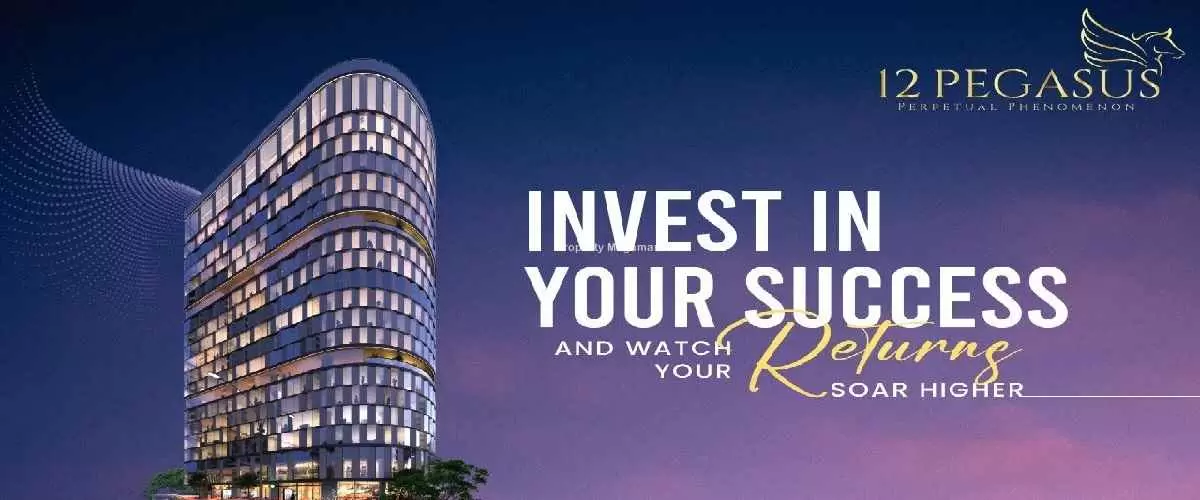 12 Pegasus in BKC
