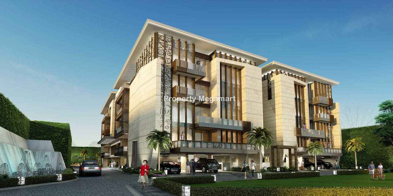 Aarone Group Botanica