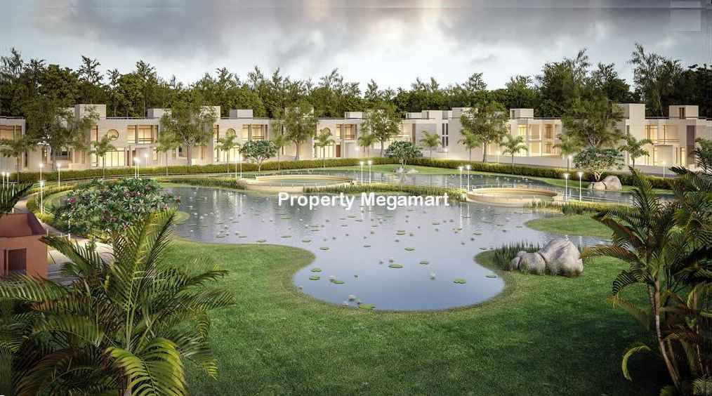 Applewood Estates Santolina