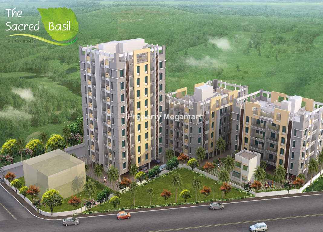 Ashapuri Realtos Sacred Basil