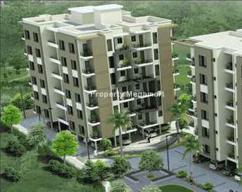 Brand Celino Paradise