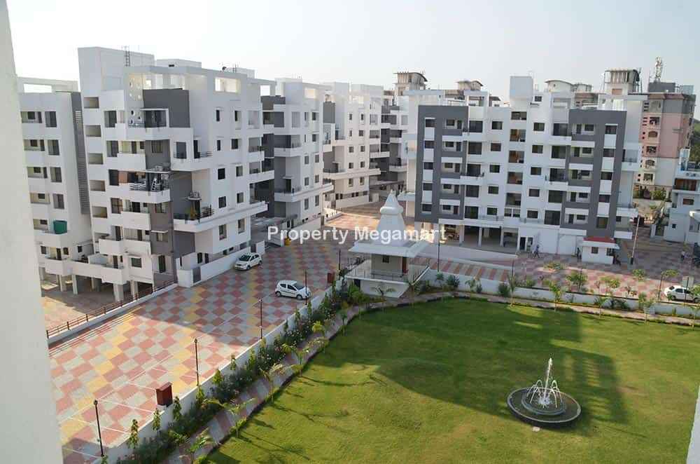 Daffodil - KKA Lifestyle