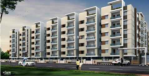 Honeyy Flora Delight