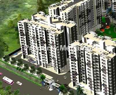 IBD Universal Florence Platinum