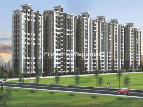 Joy Bharat Royal Greens II