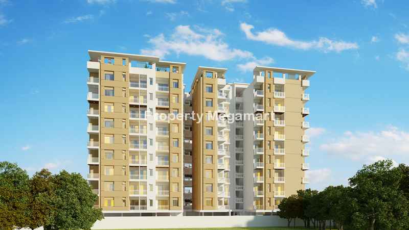 Kotecha Royal Regalia