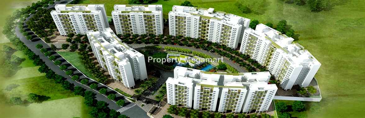 Kothari Brothers The Leaf