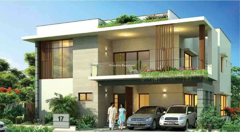 Preston Anvithas Amari