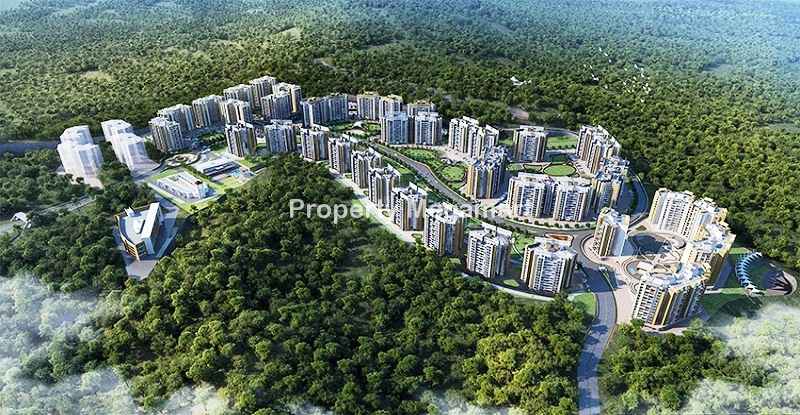 Pride Purple 115 Hill Town