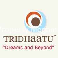Tridhaatu Group logo