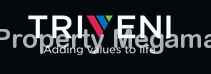 triveni developers logo