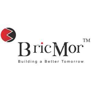 BricMor Infra Projects Private Limited logo