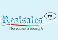 Realsales Infra Group logo