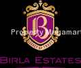 Birla Group logo
