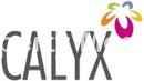 Calyx Constructions logo