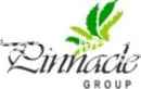 Pinnacle Group logo