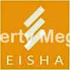 Eisha Group logo