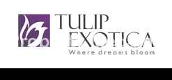 Tulip Properties logo