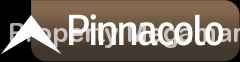 Dimple Group & Kanungo Group logo