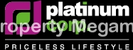 Platinum Corp logo