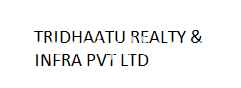 TRIDHAATU REALTY & INFRA PVT LTD logo