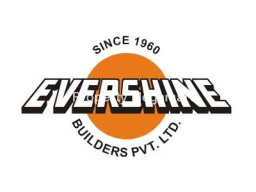 Evershine Group logo