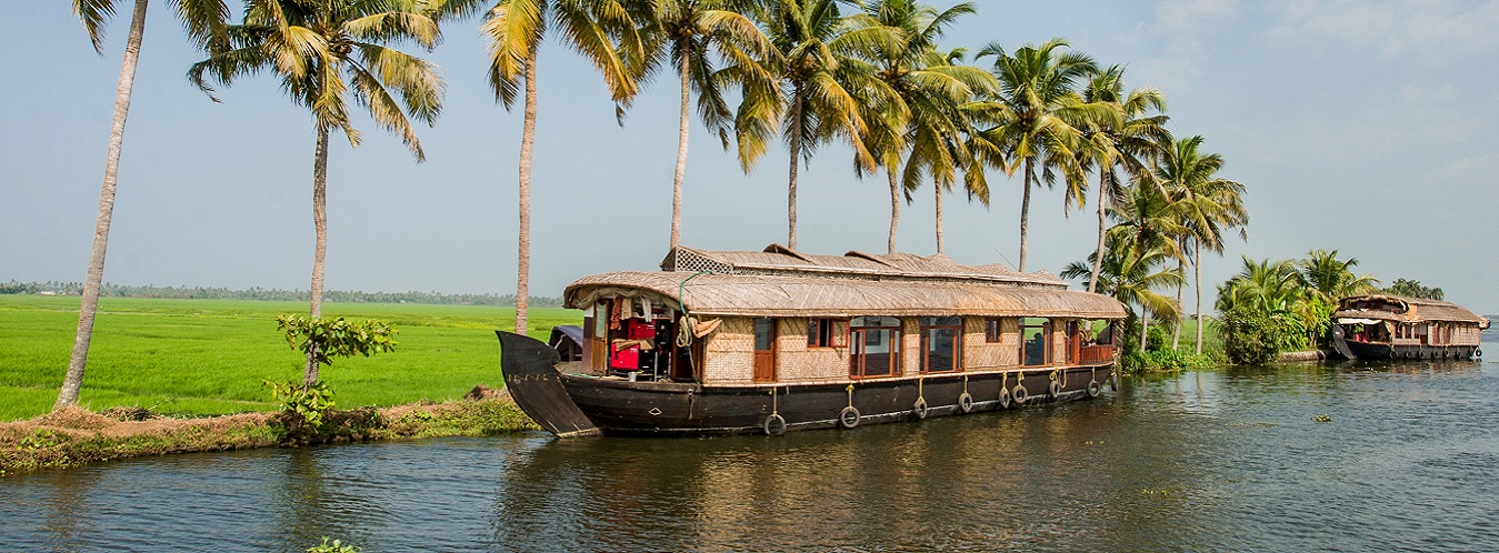 Property in Kochi
