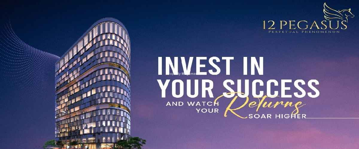12 Pegasus Bkc image