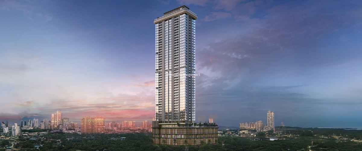 Tribeca Trilive
