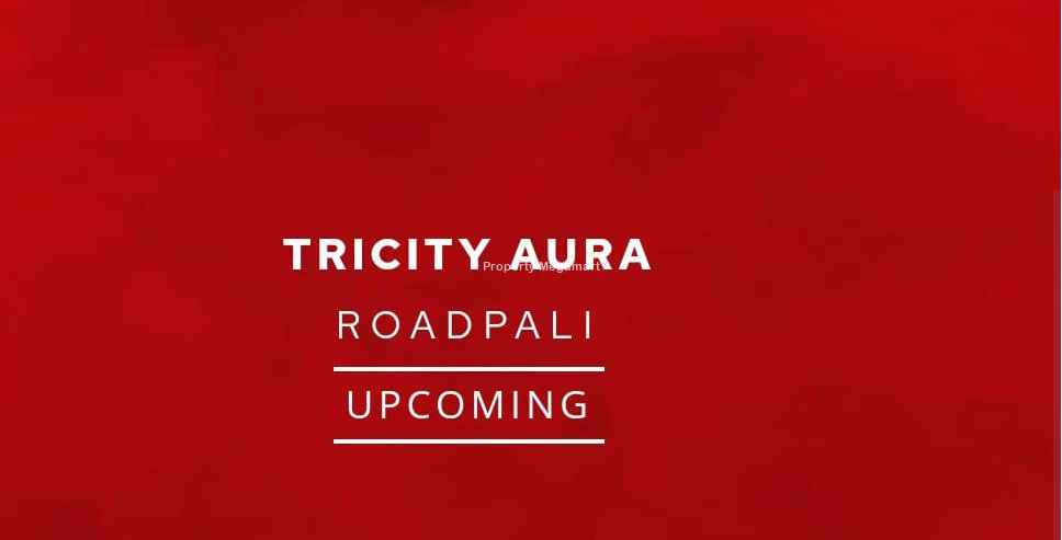 Tricity Aura Roadpali image